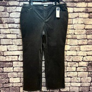 Charter Club NWT Gray Classic Fit Corduroy Pants Size 20W